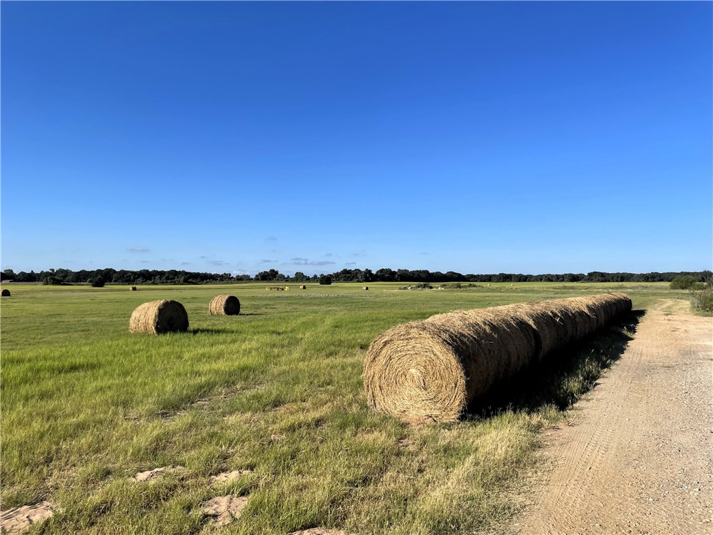 295 Rozell Pass Road, Waco, Texas image 9