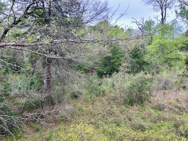 TBD Fcr 537, Fairfield, Texas image 6