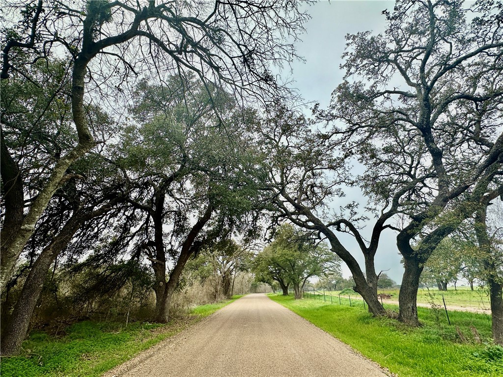 Sunset Ranch Tract 6 & 7 Cr 356 Road, Gatesville, Texas image 7