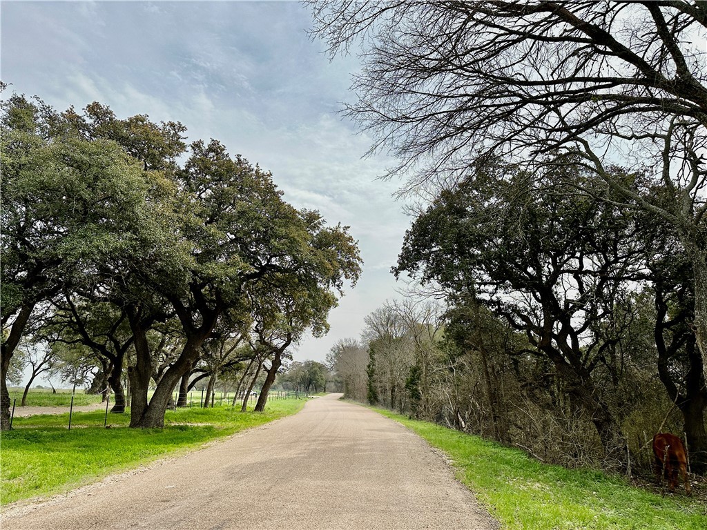 Sunset Ranch Tract 6 & 7 Cr 356 Road, Gatesville, Texas image 8