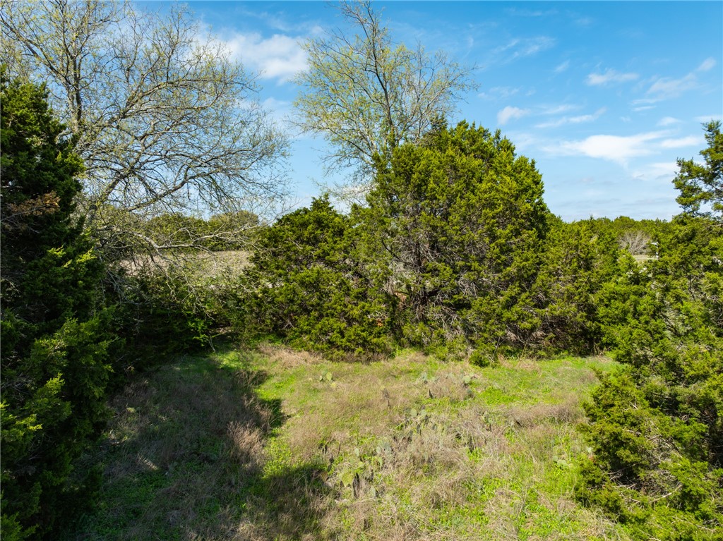 11082 Briarwood Drive, Whitney, Texas image 13