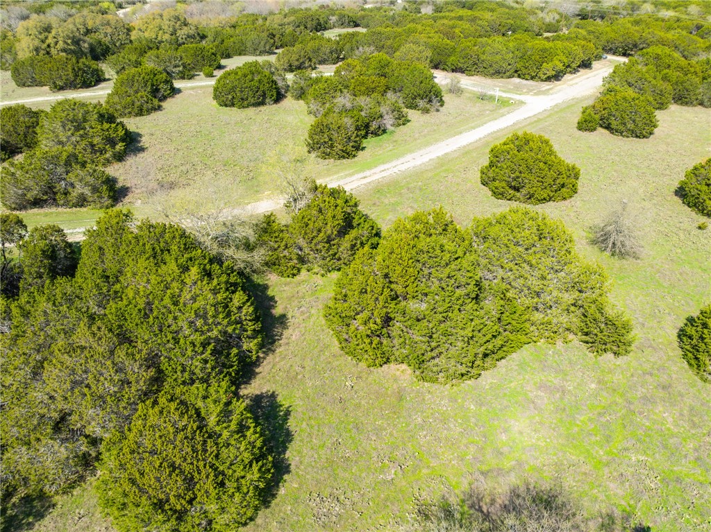 11082 Briarwood Drive, Whitney, Texas image 16