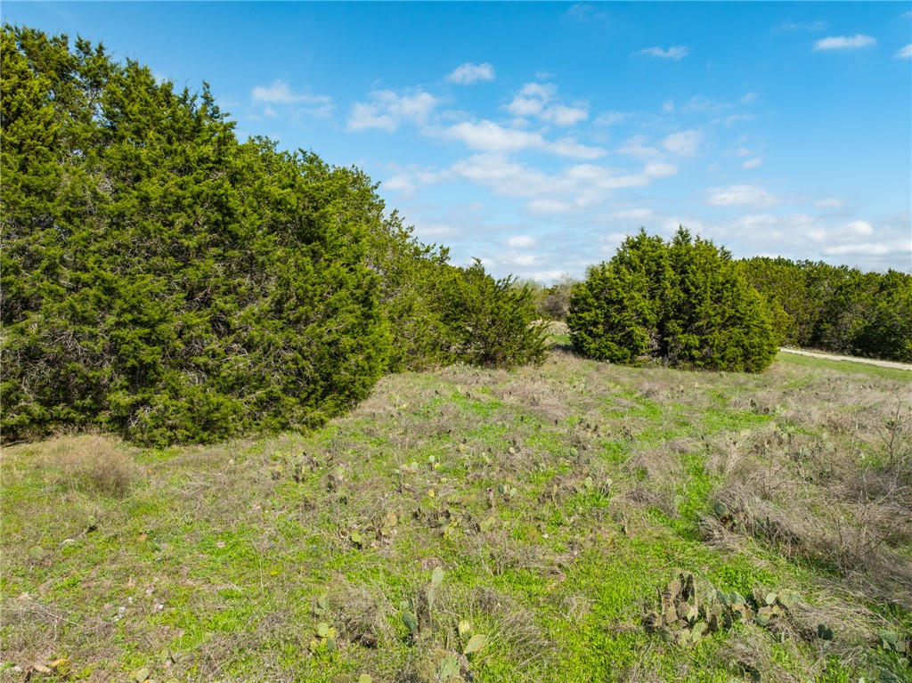 11082 Briarwood Drive, Whitney, Texas image 17