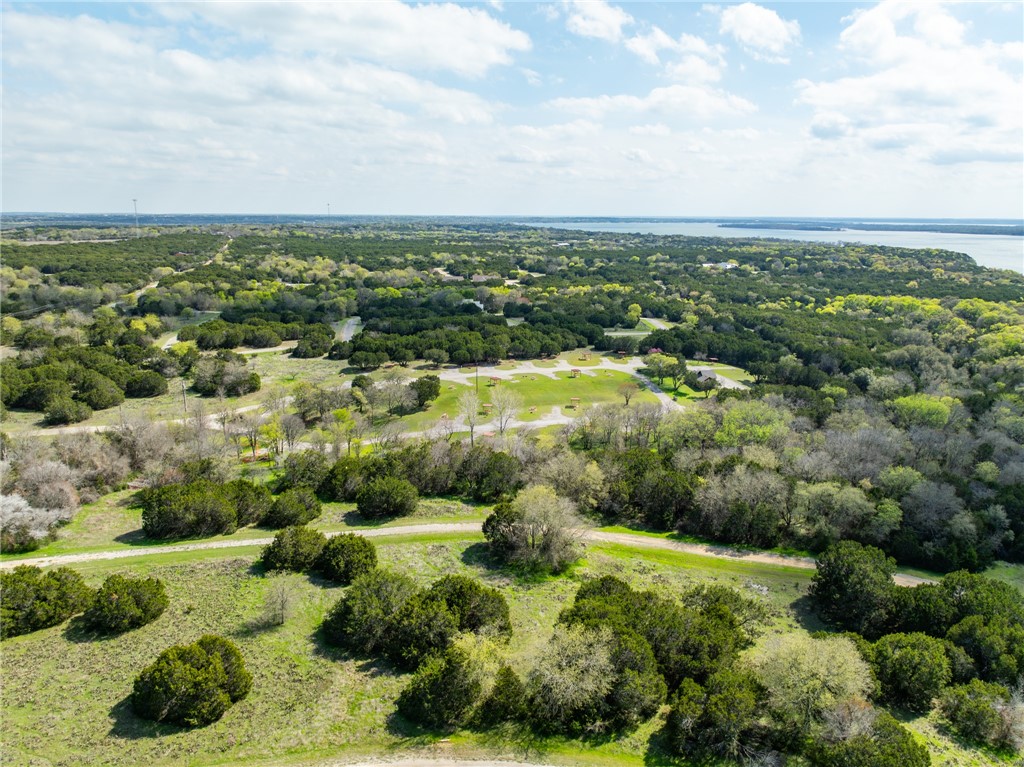 11082 Briarwood Drive, Whitney, Texas image 14