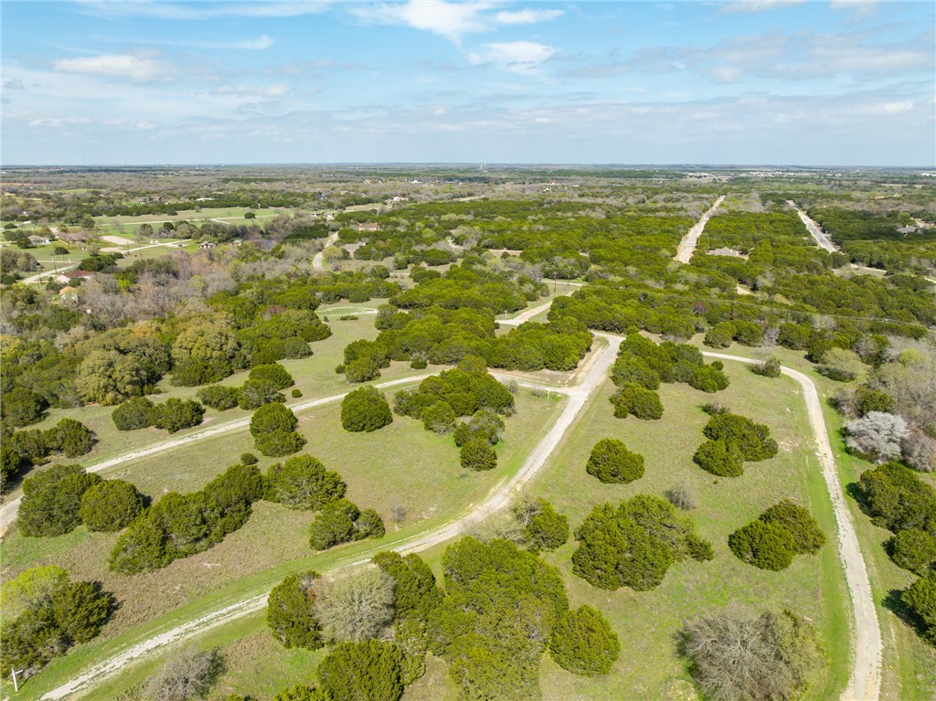 11082 Briarwood Drive, Whitney, Texas image 15