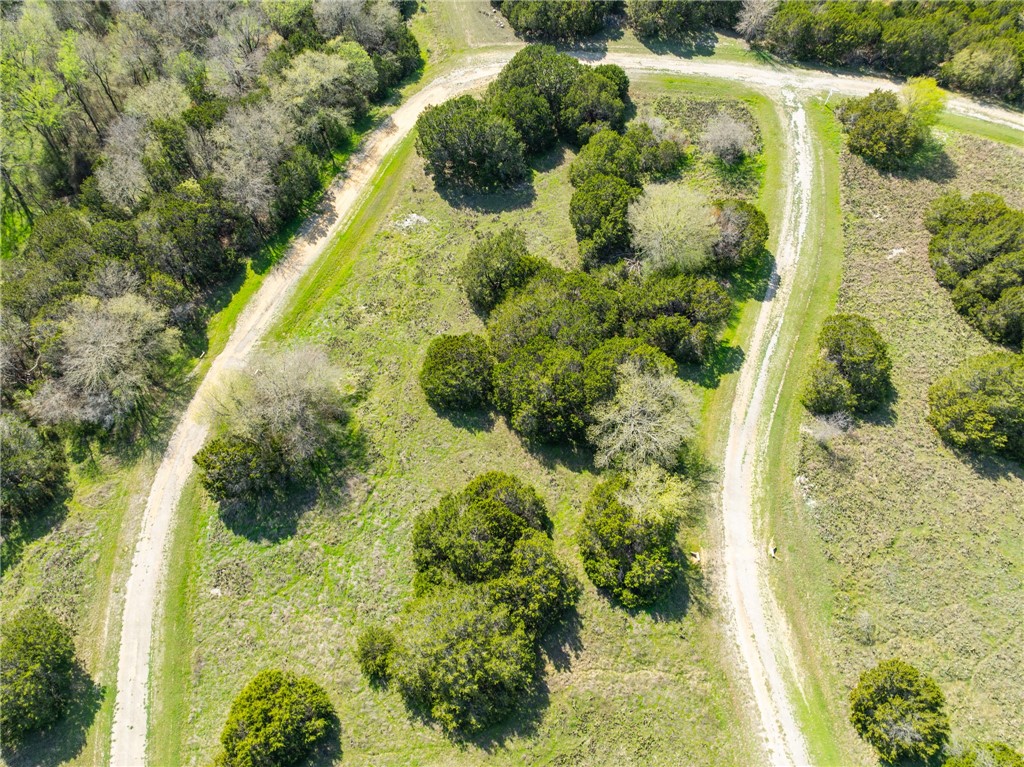 11082 Briarwood Drive, Whitney, Texas image 2