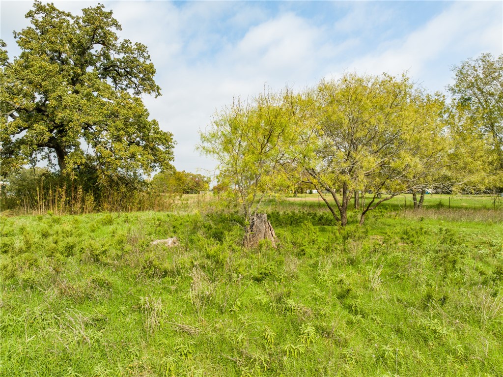 1187 Ross Road, Elm Mott, Texas image 31