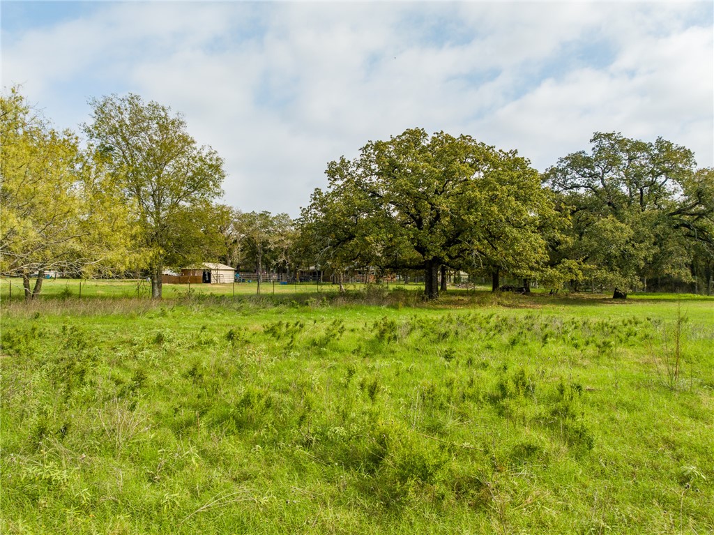 1187 Ross Road, Elm Mott, Texas image 30