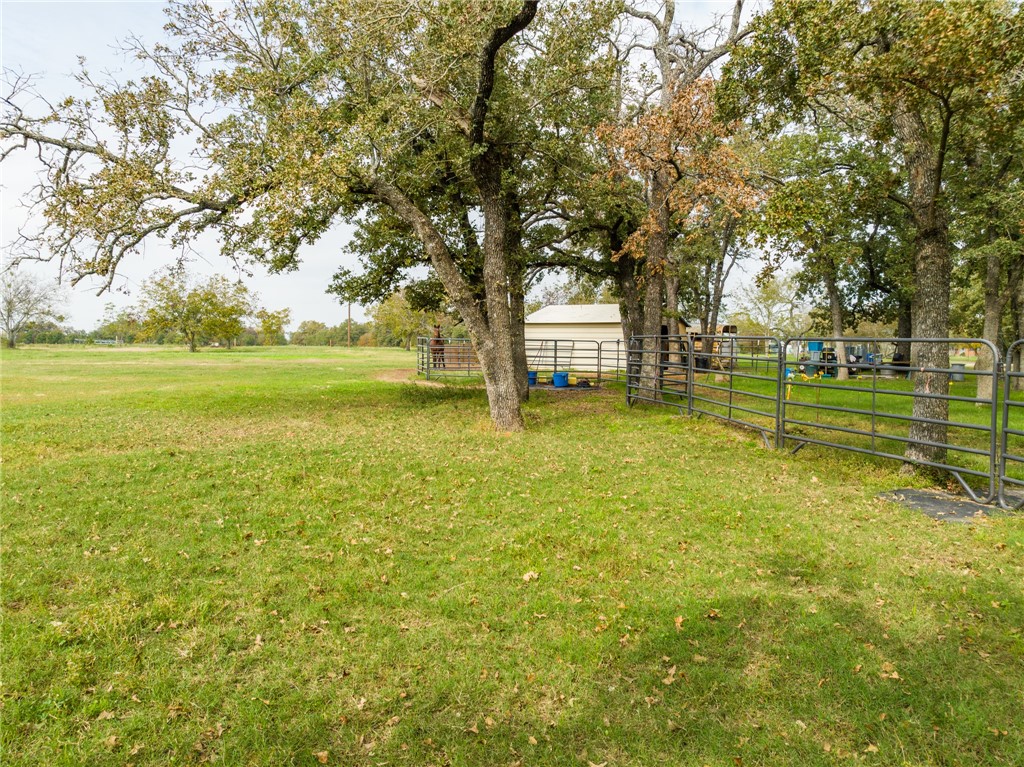 1187 Ross Road, Elm Mott, Texas image 36