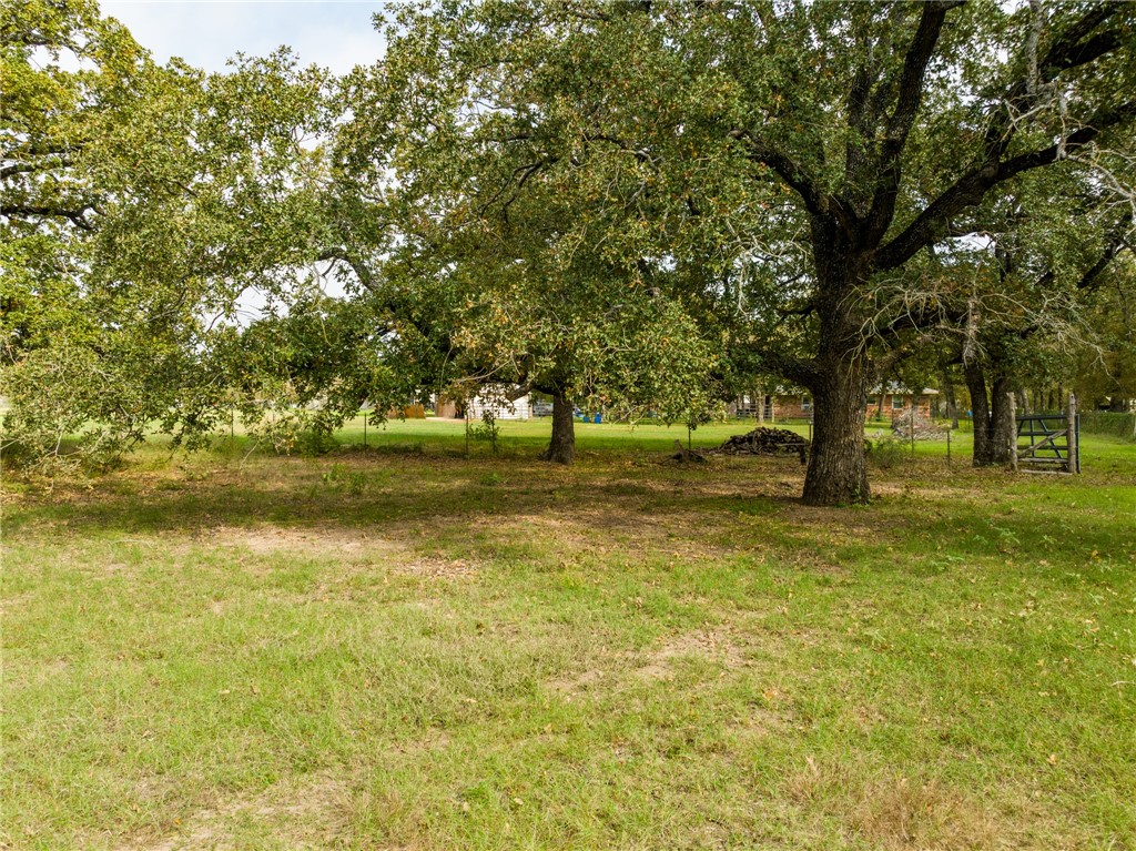 1187 Ross Road, Elm Mott, Texas image 21