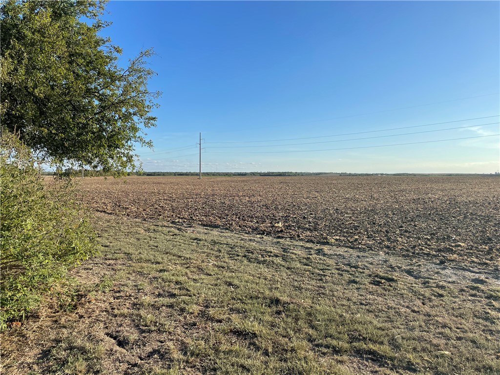 346 Cr 352, Rosebud, Texas image 13