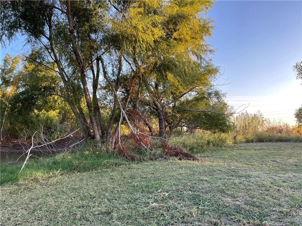346 Cr 352, Rosebud, Texas image 11