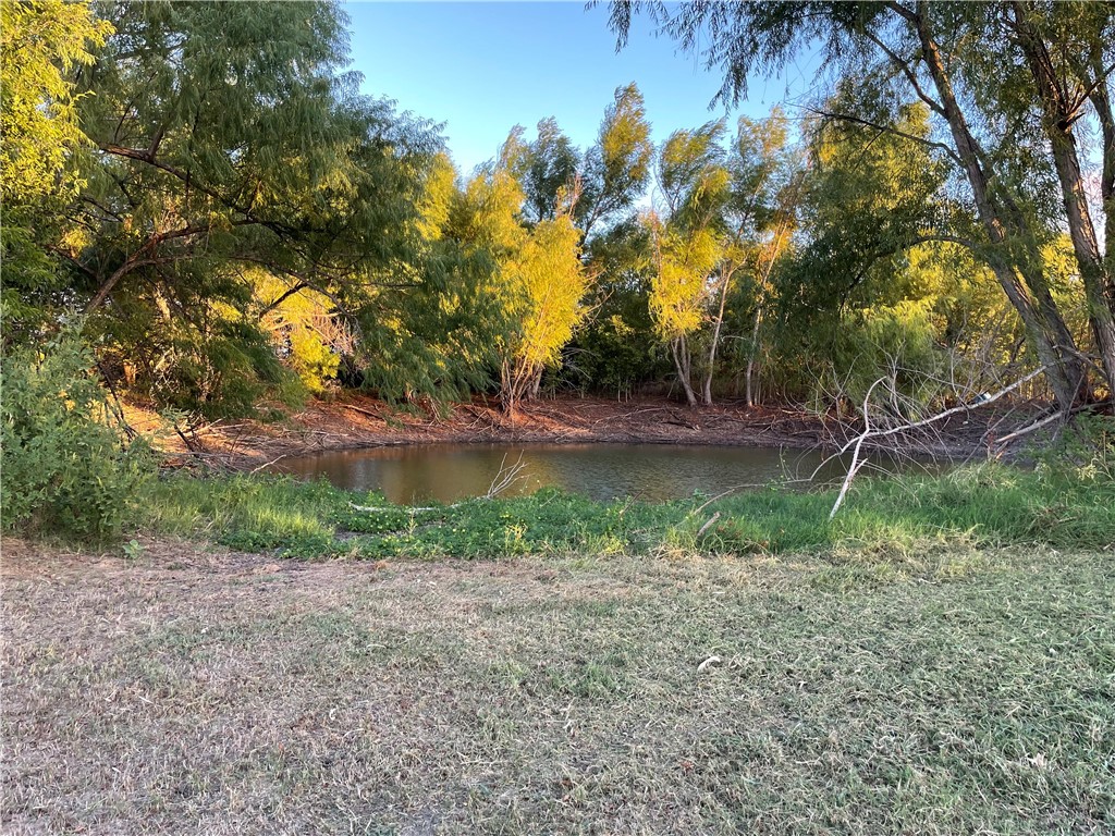 346 Cr 352, Rosebud, Texas image 10