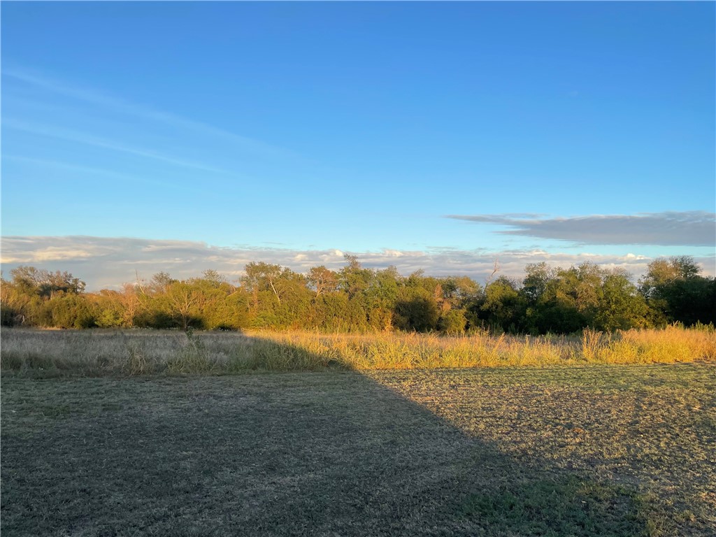346 Cr 352, Rosebud, Texas image 8