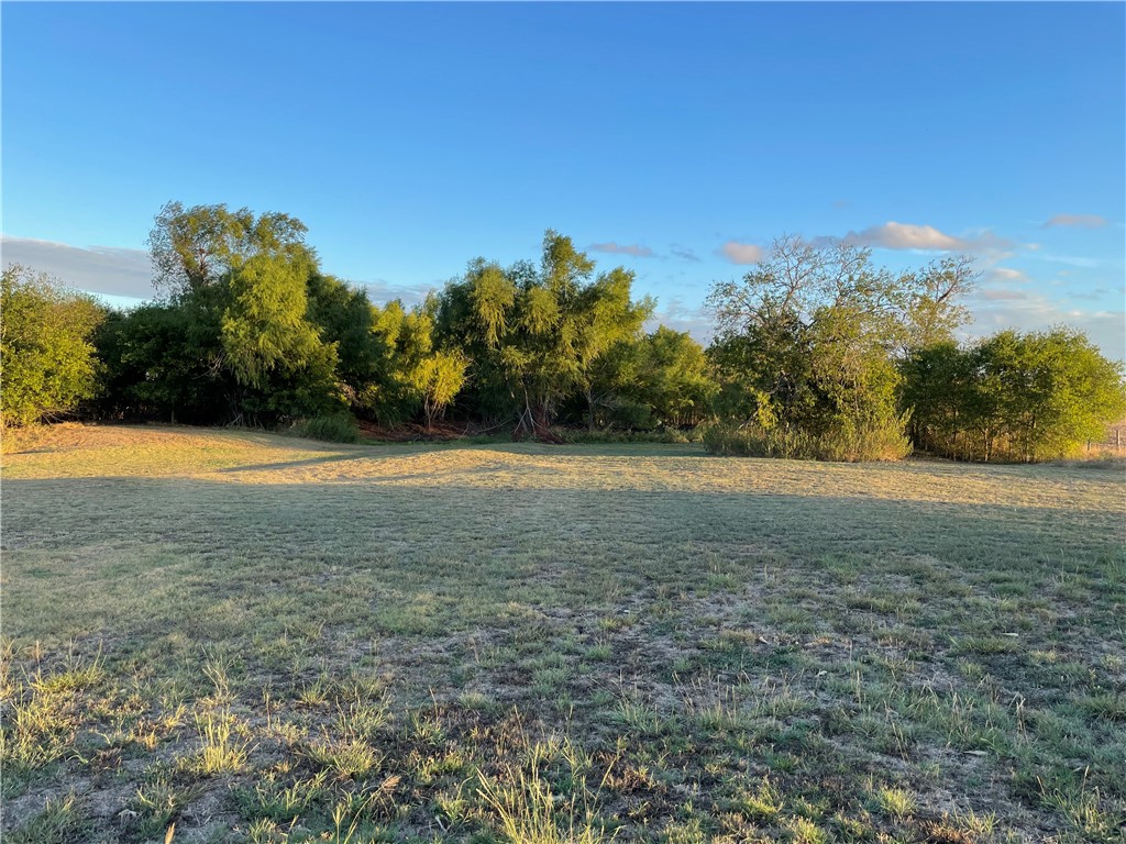 346 Cr 352, Rosebud, Texas image 6