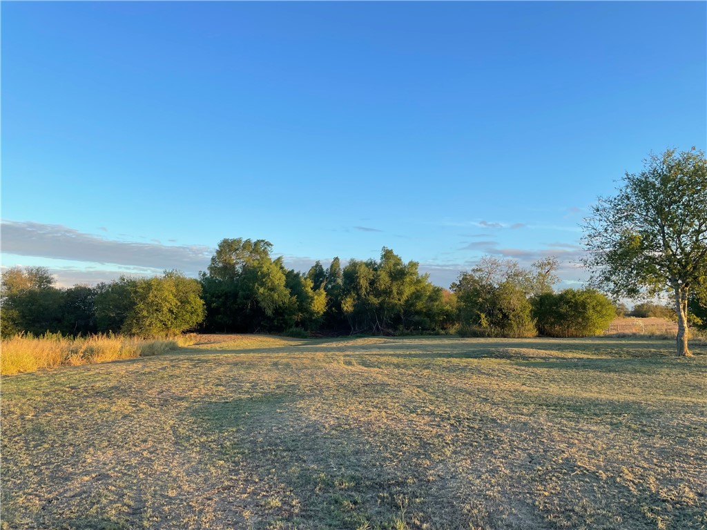 346 Cr 352, Rosebud, Texas image 7