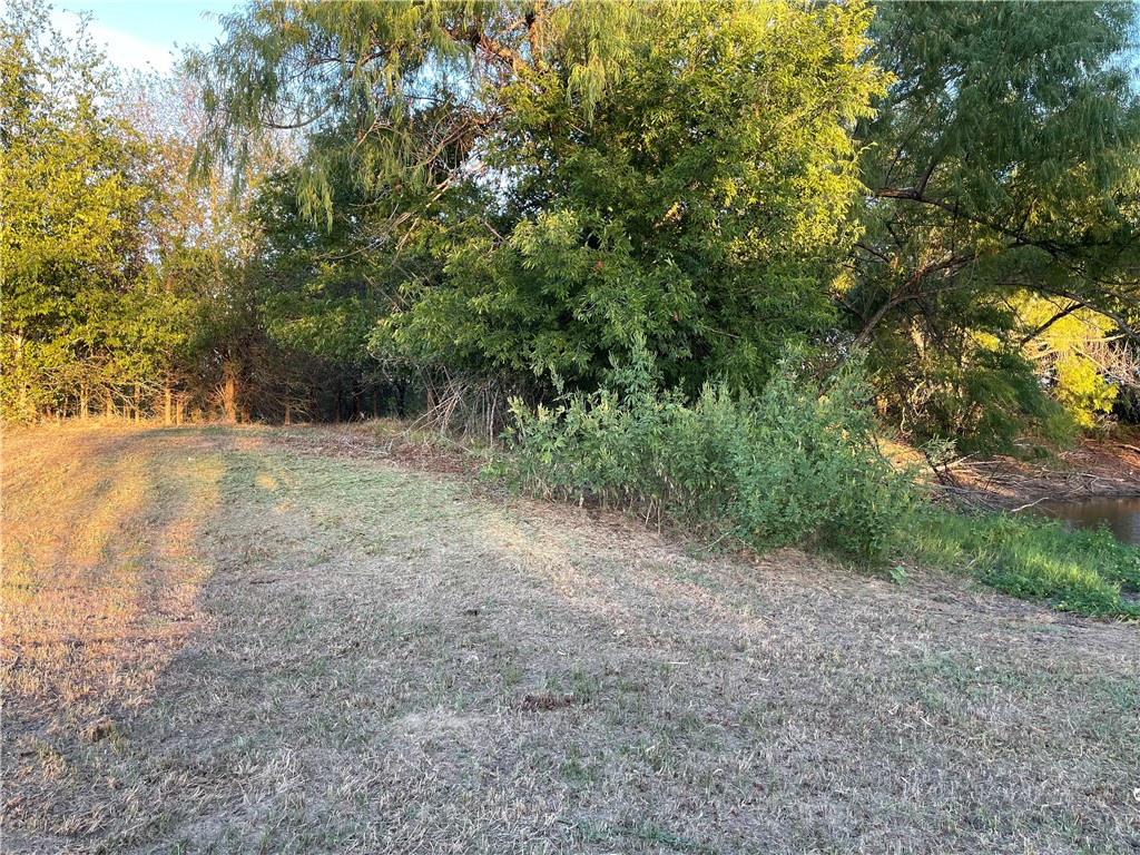 346 Cr 352, Rosebud, Texas image 12