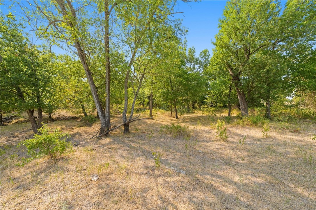 TBD 13.27 Acres Fm 147, Marlin, Texas image 6