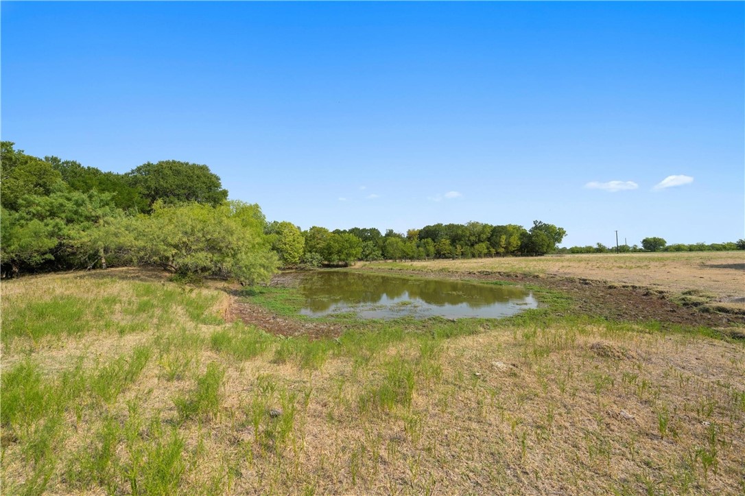 TBD 13.27 Acres Fm 147, Marlin, Texas image 8