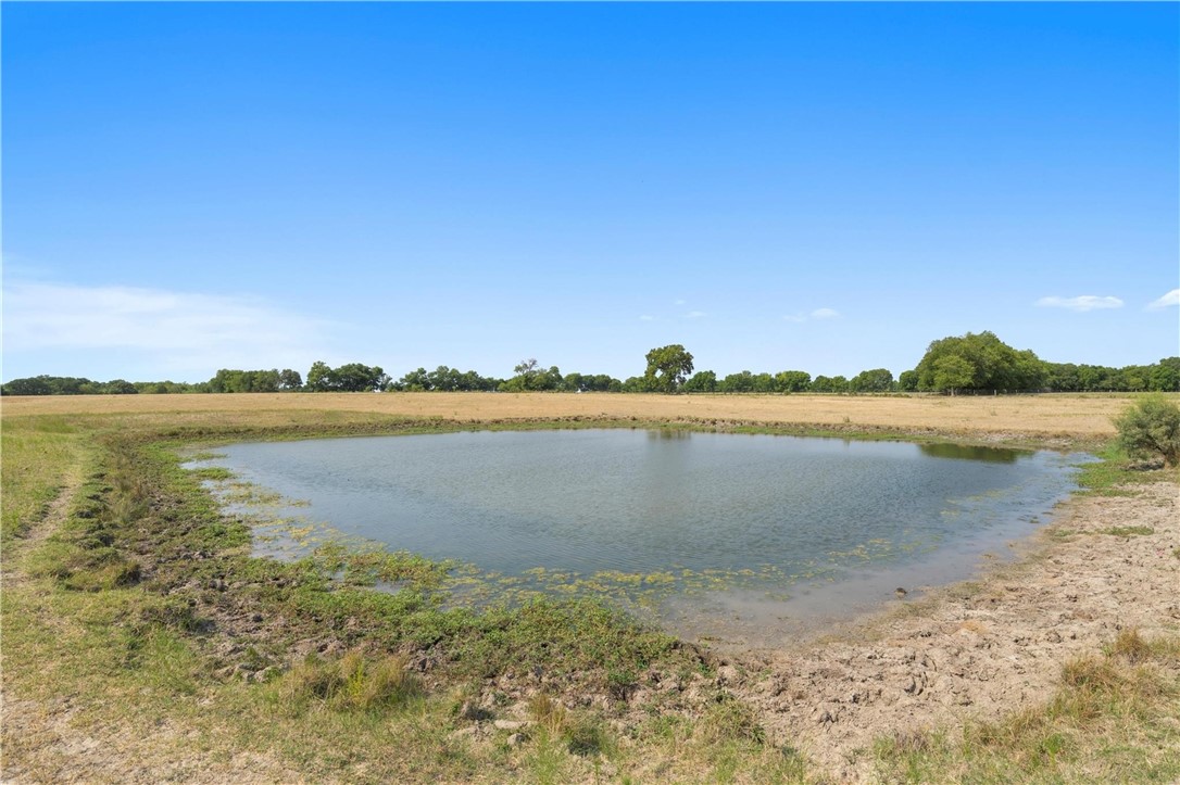 TBD 13.27 Acres Fm 147, Marlin, Texas image 9