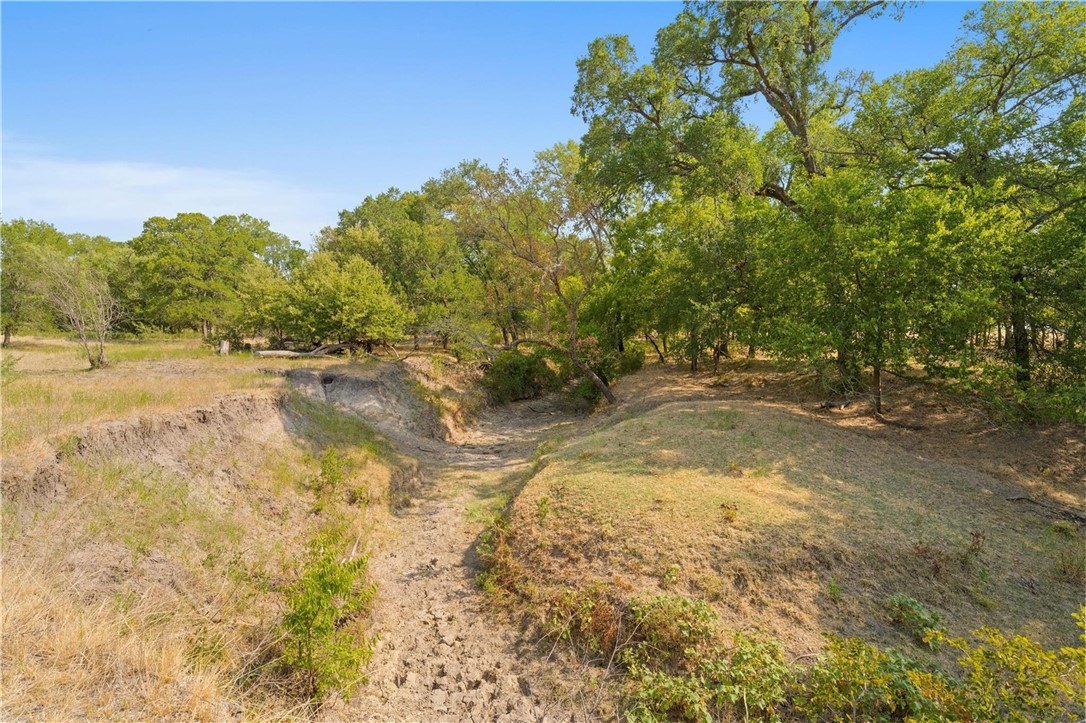 TBD 13.27 Acres Fm 147, Marlin, Texas image 12