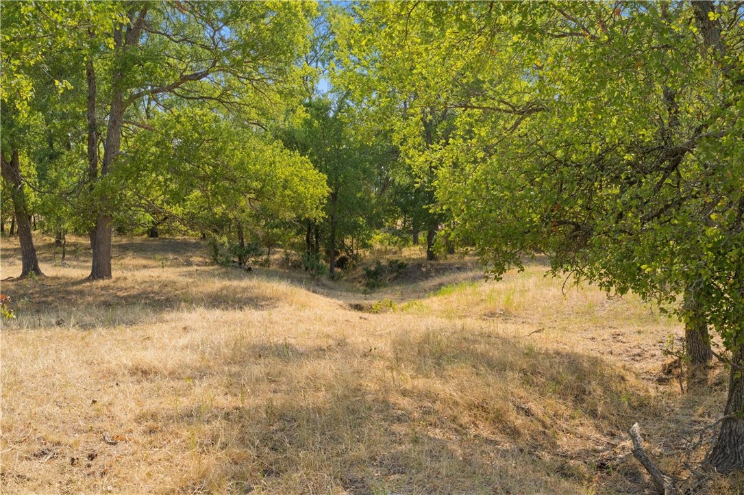 TBD 13.27 Acres Fm 147, Marlin, Texas image 10