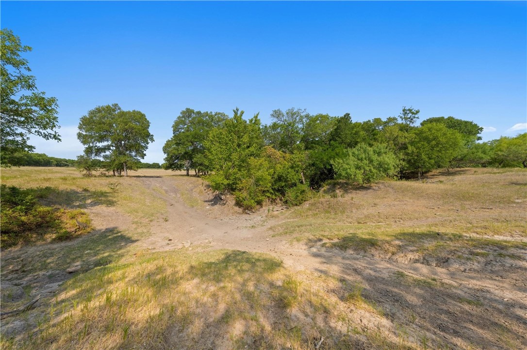 TBD 13.27 Acres Fm 147, Marlin, Texas image 7