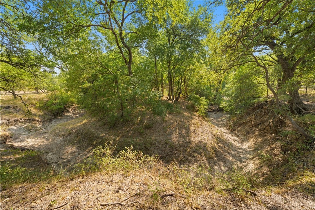 TBD 13.27 Acres Fm 147, Marlin, Texas image 13