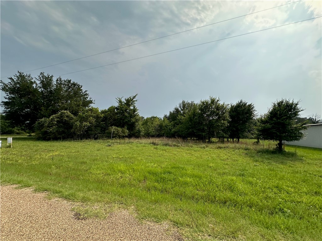 11984 Cedar Lane, Thornton, Texas image 2