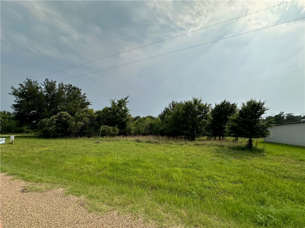 11984 Cedar Lane, Thornton, Texas image 1