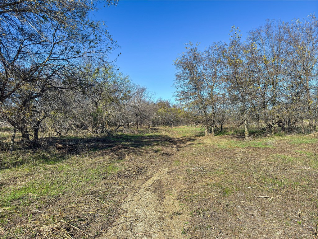 TBD Tract 8 Talbert Ranch Road, China Spring, Texas image 20