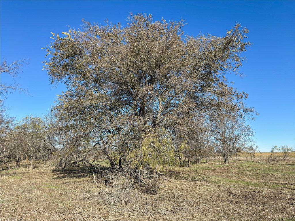 TBD Tract 8 Talbert Ranch Road, China Spring, Texas image 18