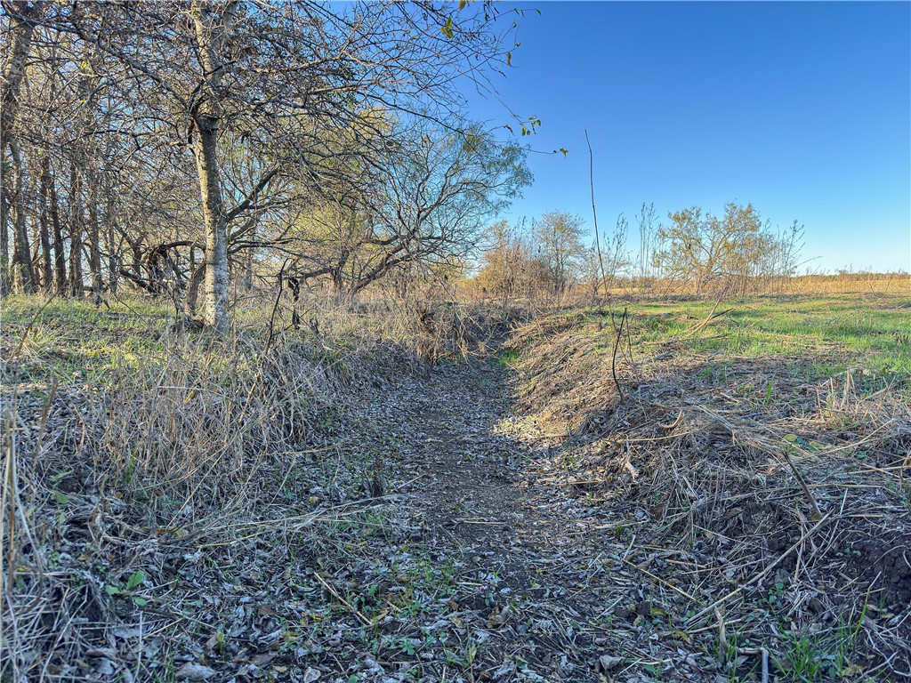 TBD Tract 8 Talbert Ranch Road, China Spring, Texas image 10