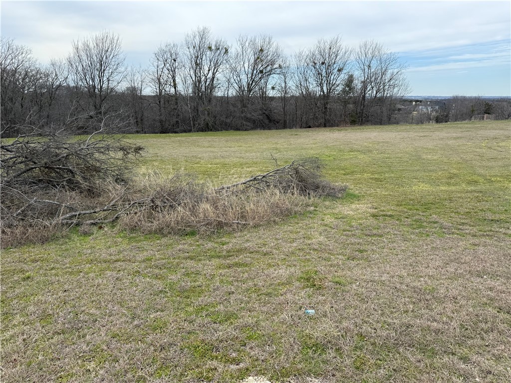 8418 Green Branch Drive, Woodway, Texas image 2