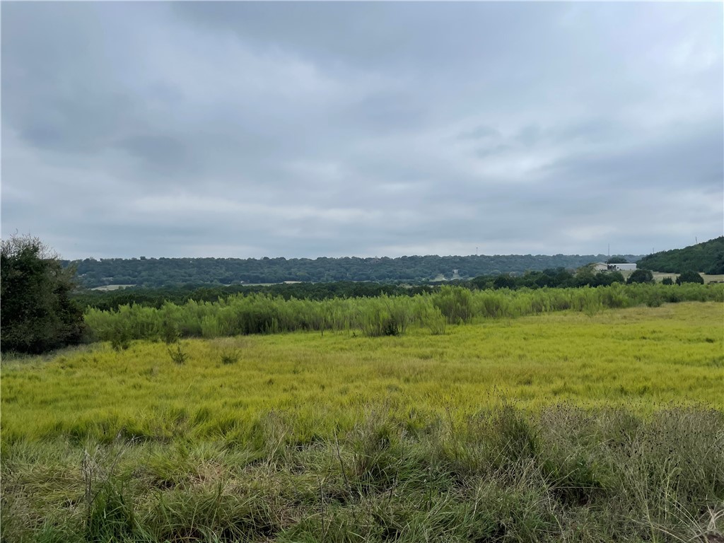 TBD Deer Flat Drive, Copperas Cove, Texas image 12