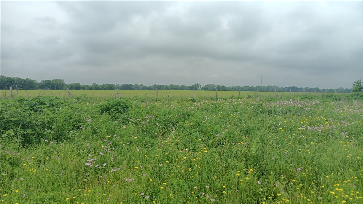 TBD Cr 494n, Chilton, Texas image 2