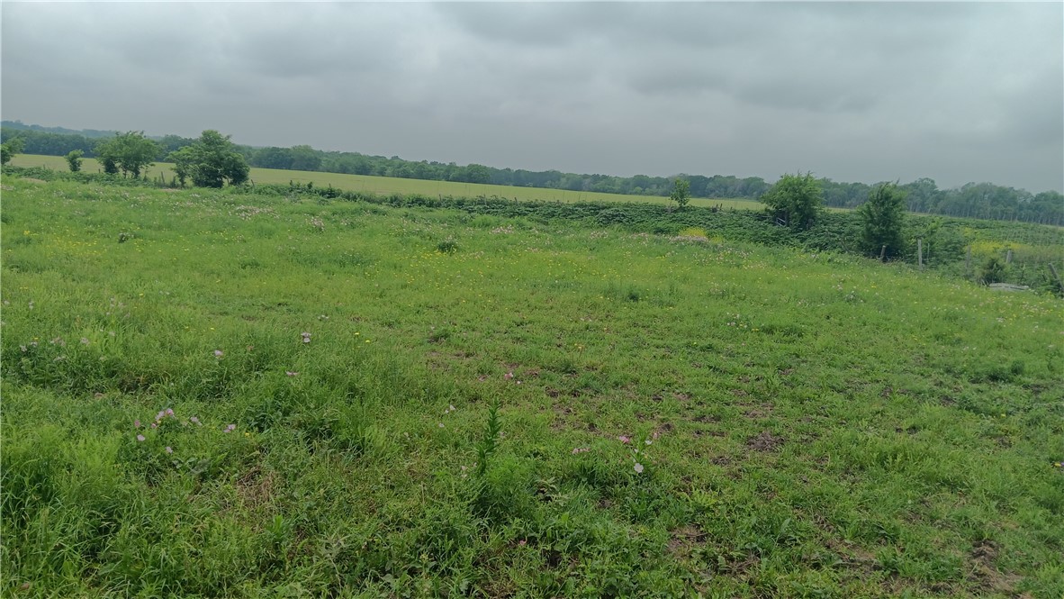 TBD Cr 494n, Chilton, Texas image 1