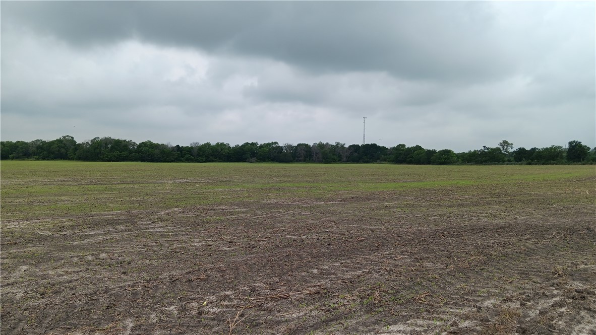 TBD Cr 494n, Chilton, Texas image 4