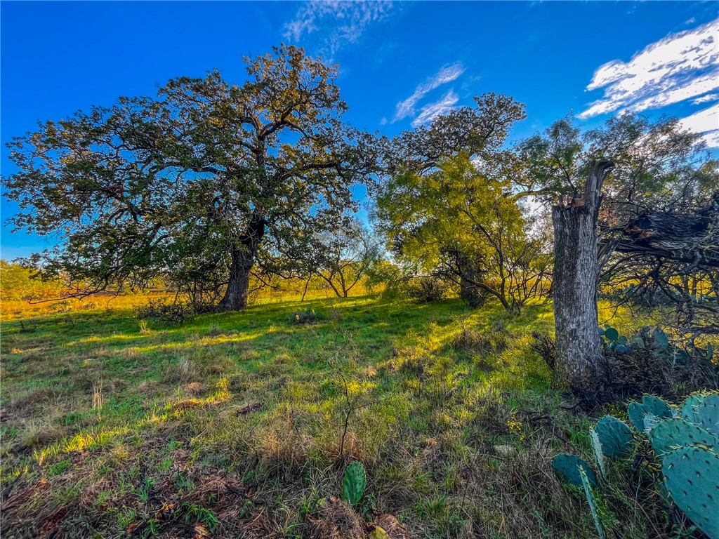 UNK Cr 272 Road, Rochelle, Texas image 13