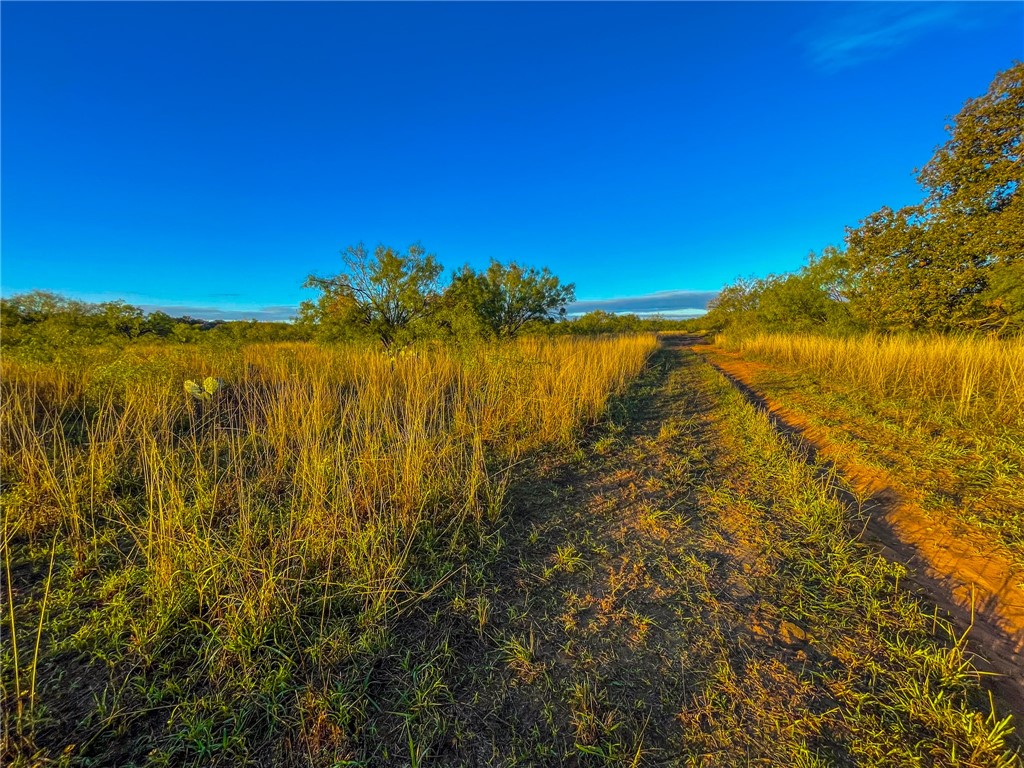 UNK Cr 272 Road, Rochelle, Texas image 9