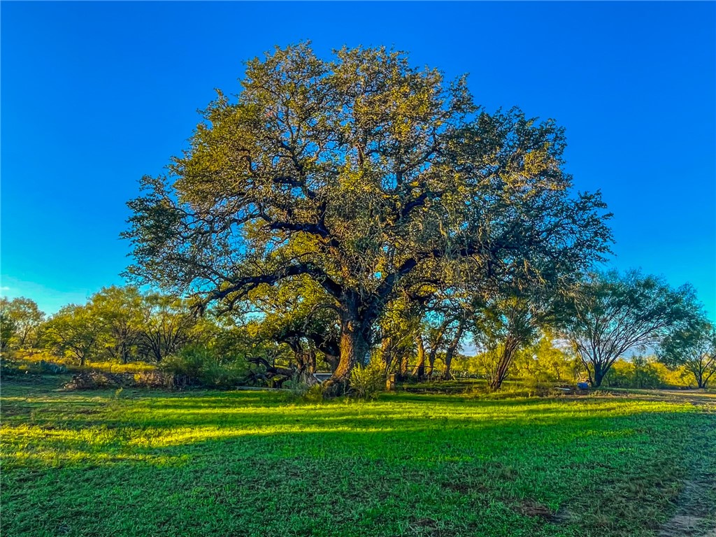 UNK Cr 272 Road, Rochelle, Texas image 8