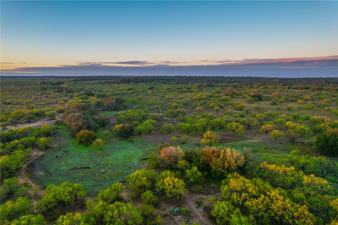 UNK Cr 272 Road, Rochelle, Texas image 4