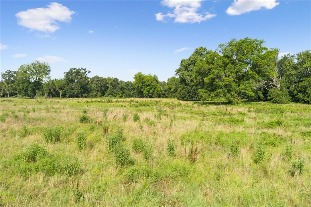 TBD Lcr 707, Kosse, Texas image 13