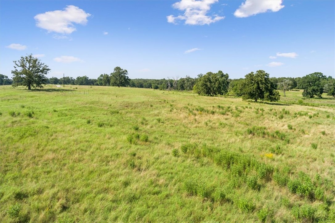 TBD Lcr 707, Kosse, Texas image 3