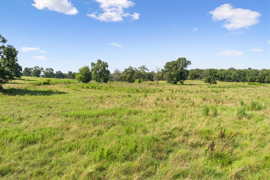 TBD Lcr 707, Kosse, Texas image 12