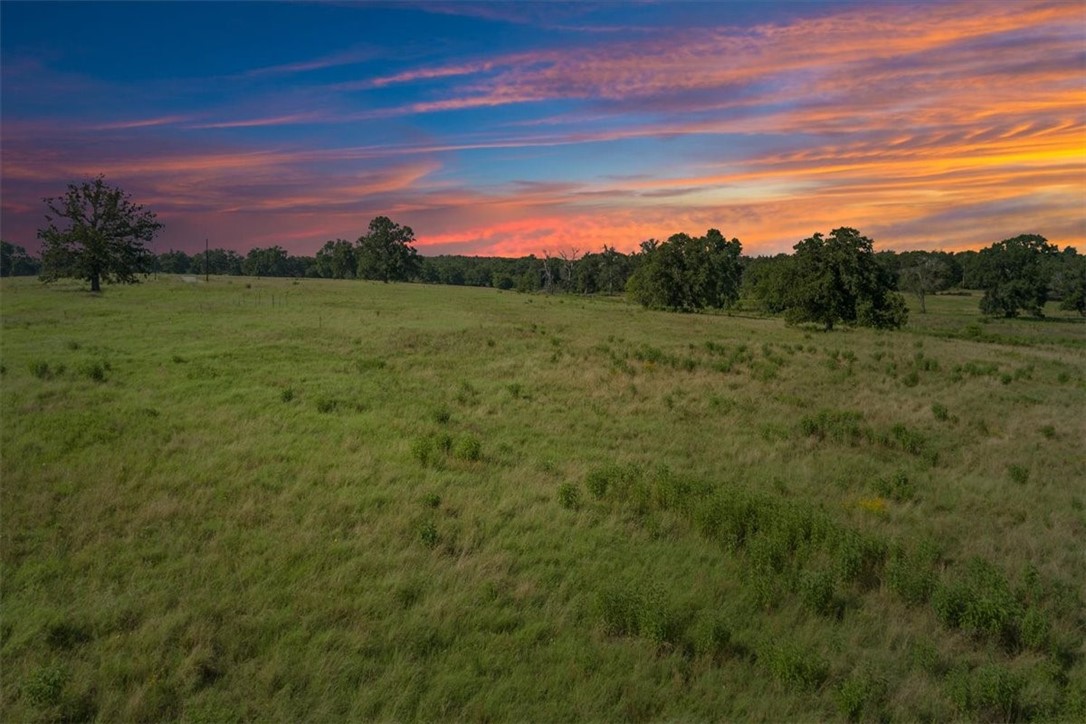 TBD Lcr 707, Kosse, Texas image 1