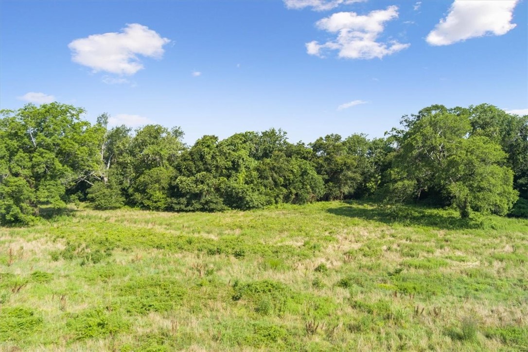 TBD Lcr 707, Kosse, Texas image 9