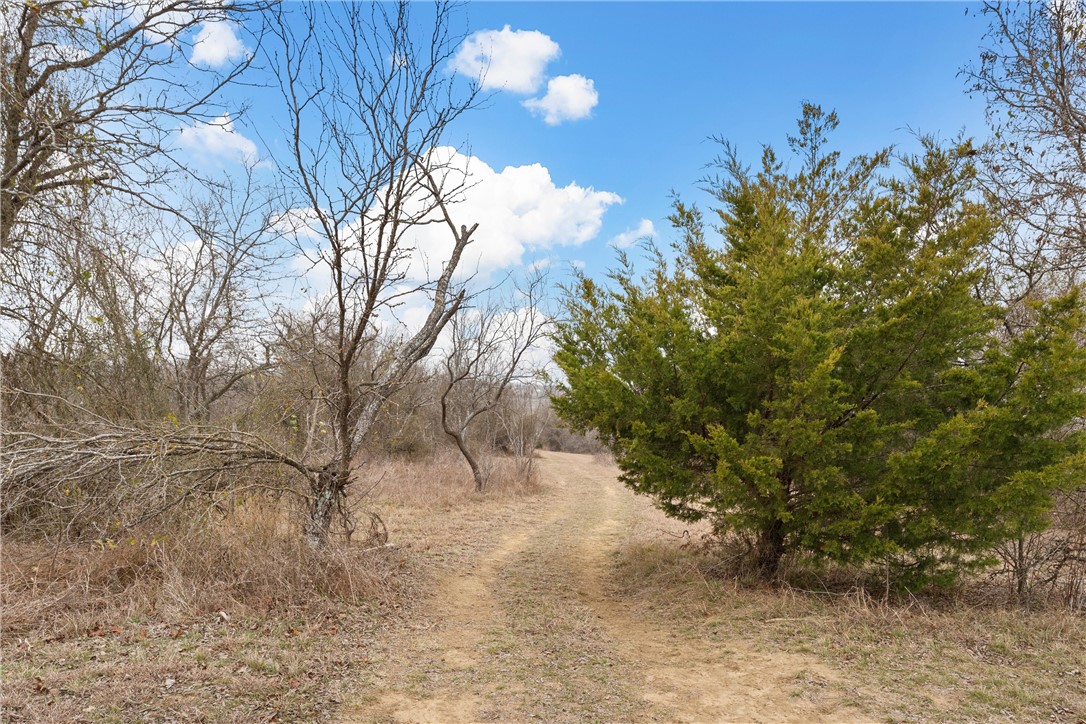 105 Cr 4025 Road, Lott, Texas image 35