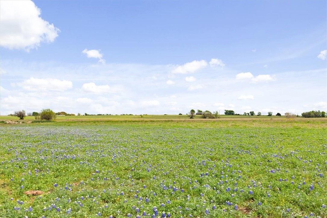 3218 Canaan Church Road, Crawford, Texas image 11