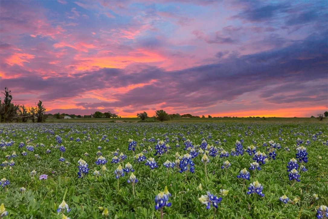 3218 Canaan Church Road, Crawford, Texas image 12